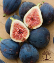 Freshly harvested Black Mission figs with a rich, raspberry-colored pulp.