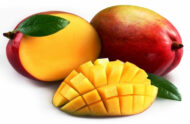 Freshly cut Mango Keitt with vibrant yellow flesh and a red-green outer peel