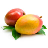 Two whole Mango Kent fruits resting on a leaf – Old Plantation House