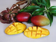 Palmer Mango – Whole and Sliced, Ready to Eat