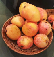 Fresh Mango Banilejo in a basket from Old Plantation House