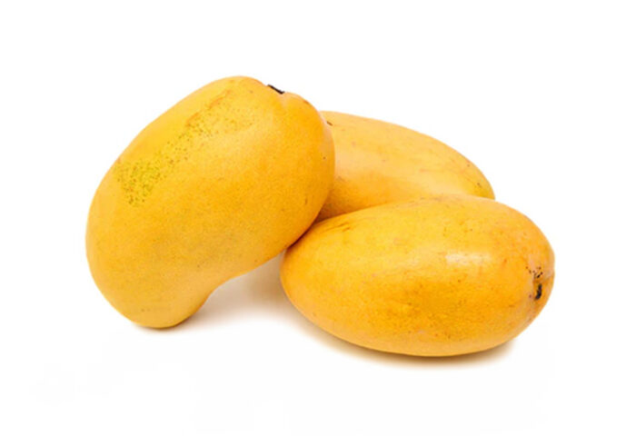 Ripe Mango Crema de Oro fruits on a white background.