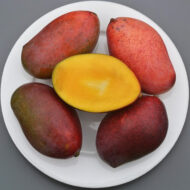 Four ripe Mango Osteen fruits, one sliced to reveal its rich yellow flesh, served on a white plate.