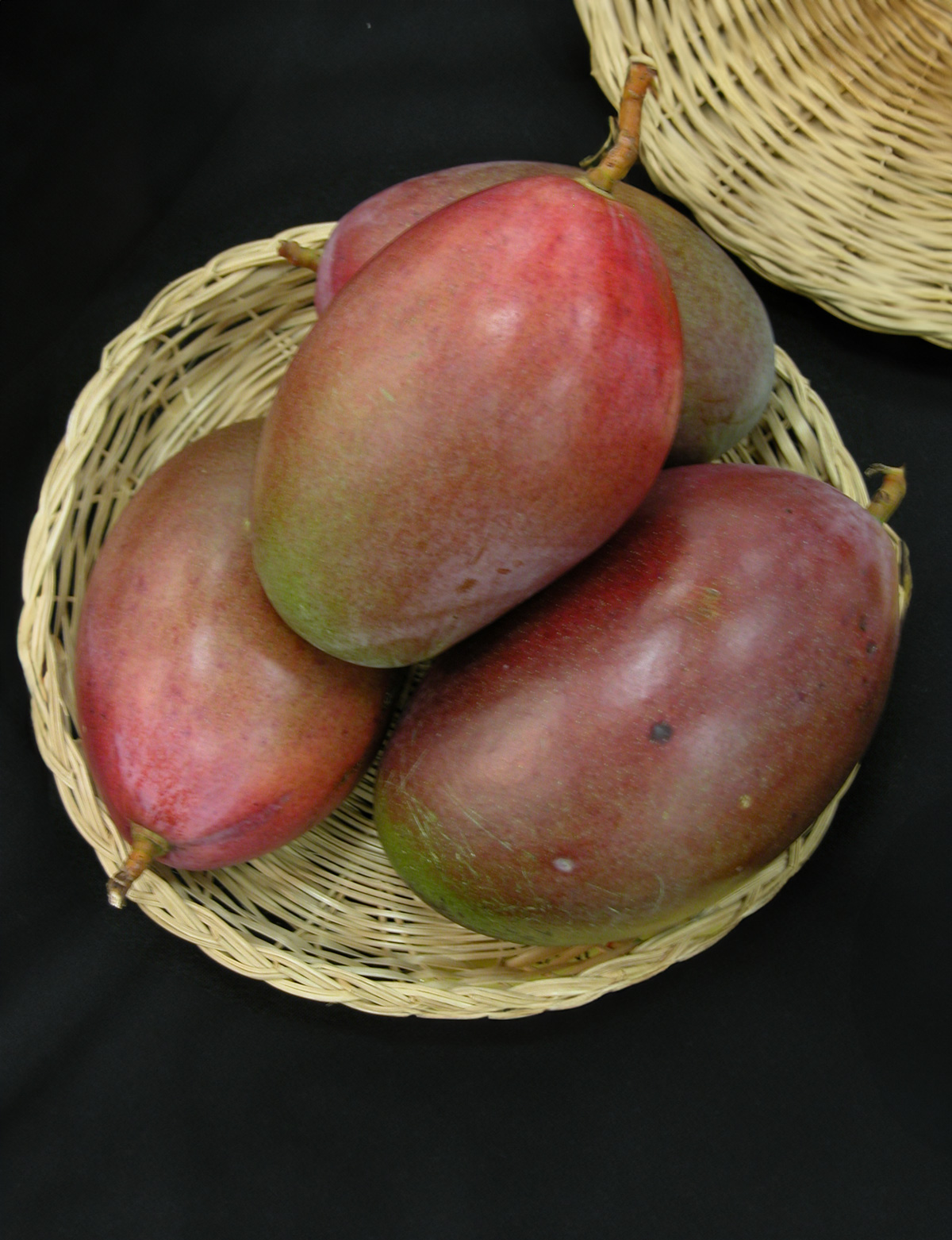 Basket of Mango Osteen fruits with dark purple and red skin, famous for their prolific yield and sweet taste.