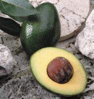 Close-up of a split Semil 34 avocado showcasing its creamy green flesh and large seed on a stone background.