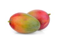 Mango Julie fruits with vibrant green, yellow, and red hues showcasing the ripeness and sweetness of this tropical variety.